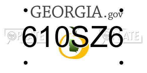 610SZ6 Georgia License Plate