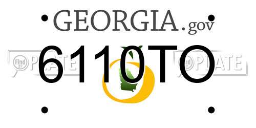 6110TO Georgia License Plate
