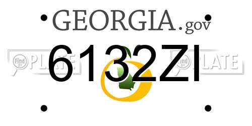 6132ZI Georgia License Plate