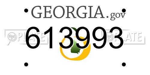 613993 Georgia License Plate