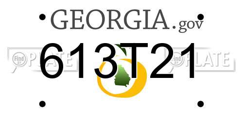 613T21 Georgia License Plate
