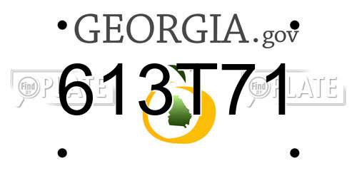 613T71 Georgia License Plate