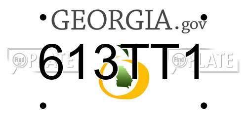 613TT1 Georgia License Plate
