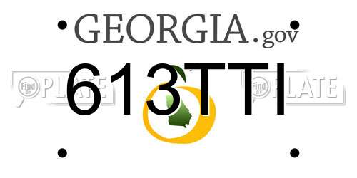 613TTI Georgia License Plate