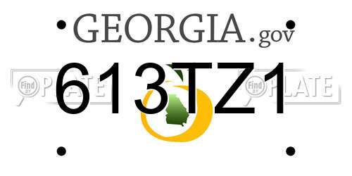613TZ1 Georgia License Plate
