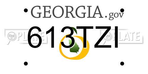 613TZI Georgia License Plate