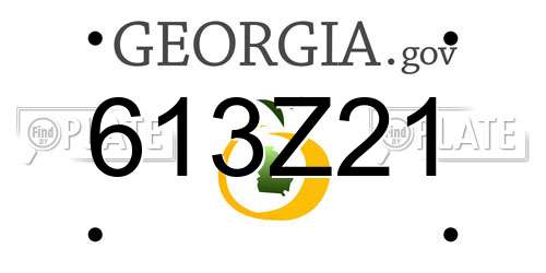 613Z21 Georgia License Plate