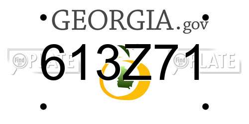 613Z71 Georgia License Plate