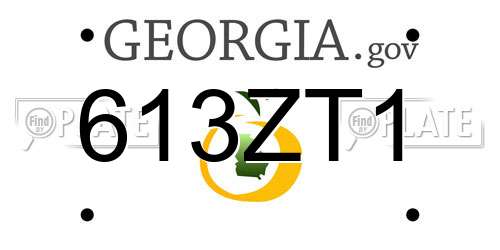 613ZT1 Georgia License Plate