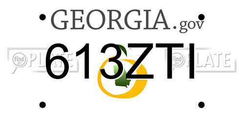 613ZTI Georgia License Plate