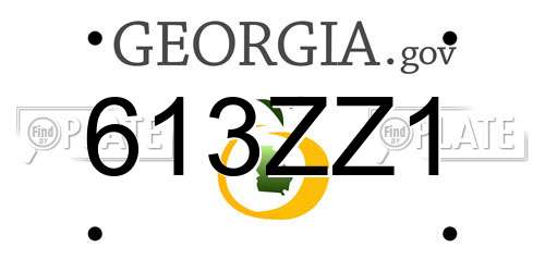 613ZZ1 Georgia License Plate