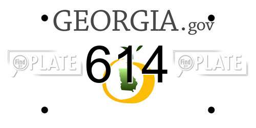 614 Georgia License Plate