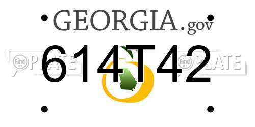 614T42 Georgia License Plate