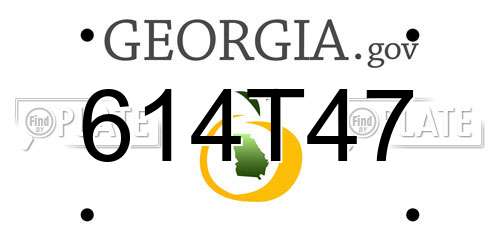 614T47 Georgia License Plate