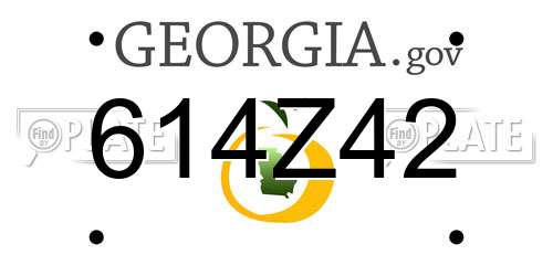 614Z42 Georgia License Plate