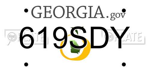 619SDY Georgia License Plate