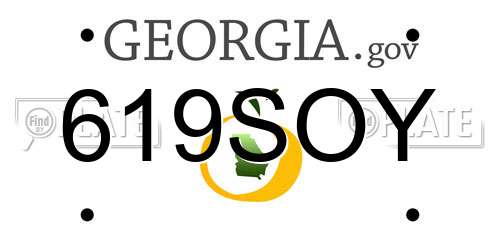 619SOY Georgia License Plate