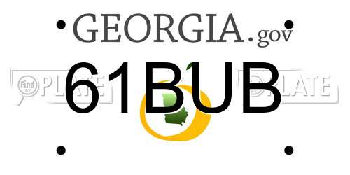 61BUB Georgia License Plate