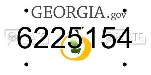 6225154 Georgia License Plate