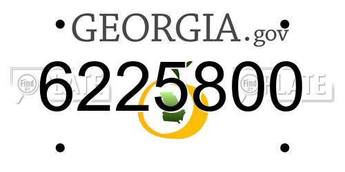 6225800 Georgia License Plate