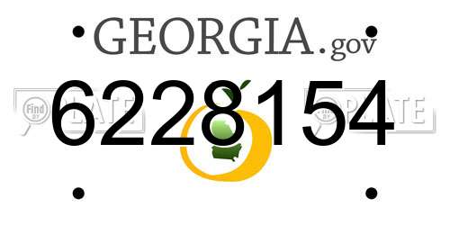 6228154 Georgia License Plate