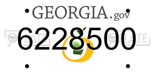 6228500 Georgia License Plate