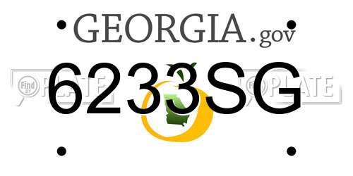 6233SG Georgia License Plate
