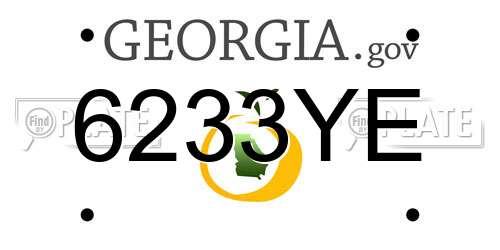 6233YE Georgia License Plate