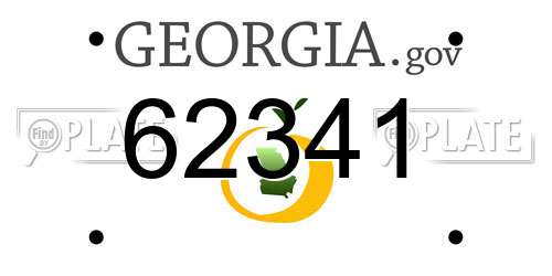 62341 Georgia License Plate