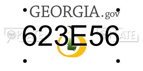 623E56 Georgia License Plate