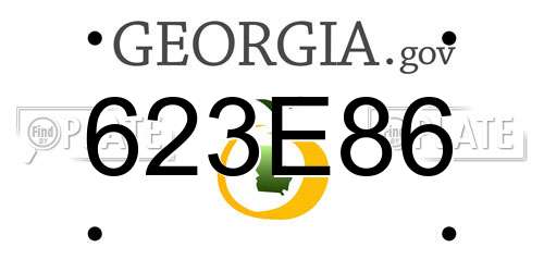 623E86 Georgia License Plate