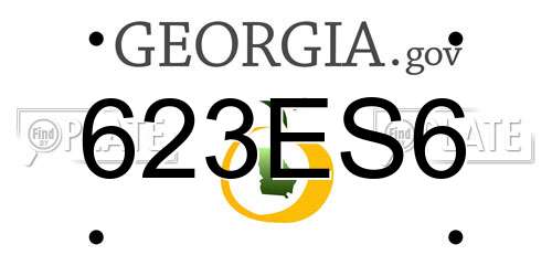 623ES6 Georgia License Plate