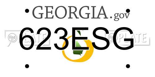623ESG Georgia License Plate
