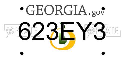 623EY3 Georgia License Plate