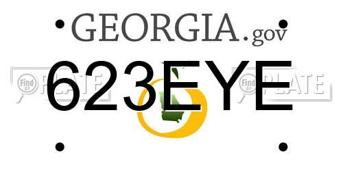 623EYE Georgia License Plate