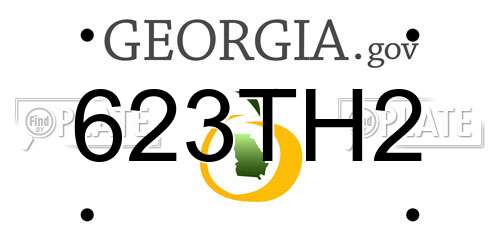 623TH2 Georgia License Plate