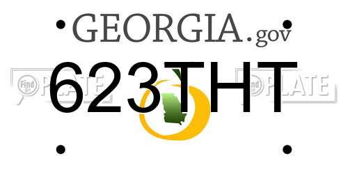 623THT Georgia License Plate