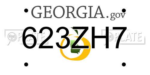 623ZH7 Georgia License Plate
