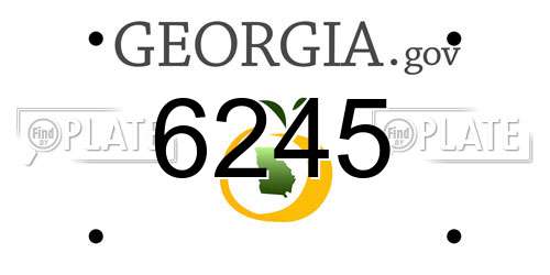 6245 Georgia License Plate