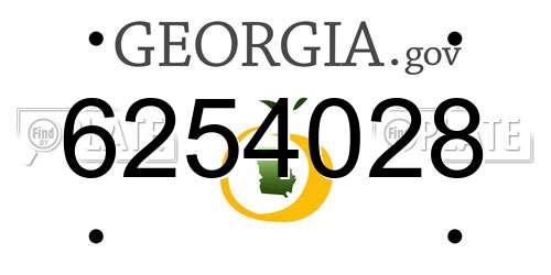 6254028 Georgia License Plate