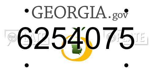 6254075 Georgia License Plate