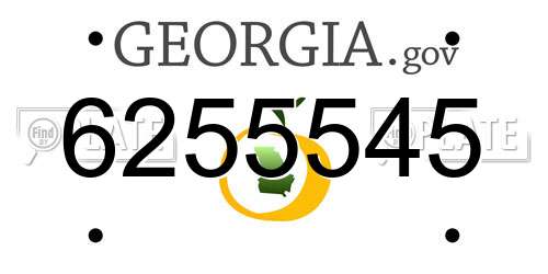 6255545 Georgia License Plate