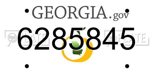 6285845 Georgia License Plate
