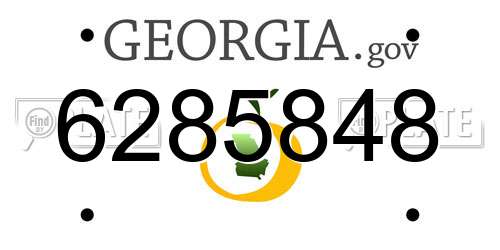 6285848 Georgia License Plate