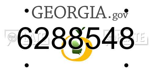 6288548 Georgia License Plate