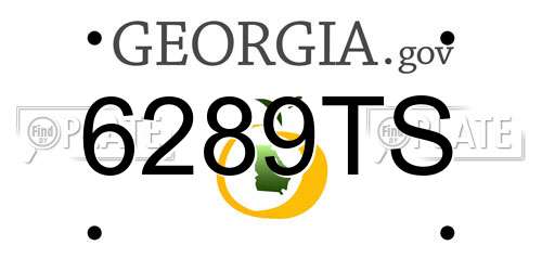 6289TS Georgia License Plate