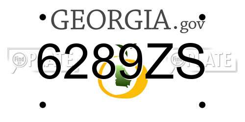 6289ZS Georgia License Plate