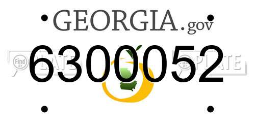 6300052 Georgia License Plate
