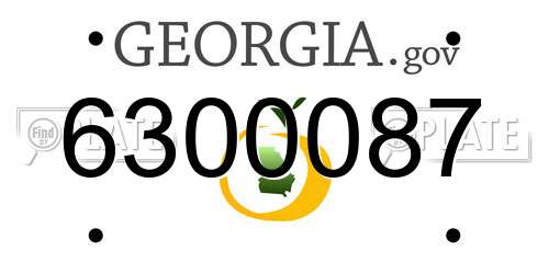6300087 Georgia License Plate