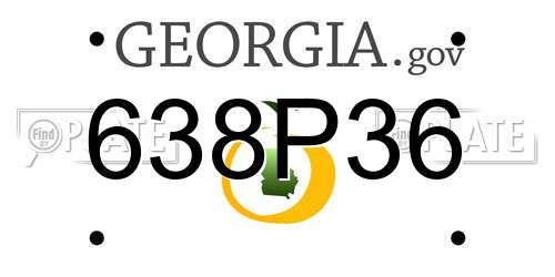 638P36 Georgia License Plate
